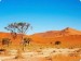 10 Interesting the Kalahari Desert Facts