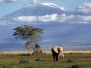 10 Interesting Kenya Facts