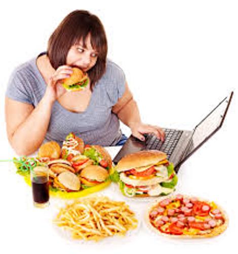 junk food obesity