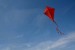10 Interesting Kite Facts