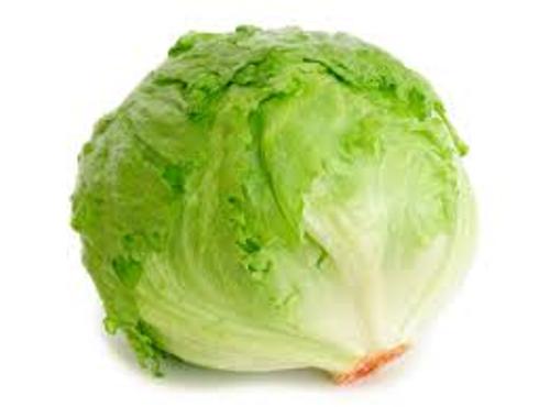Lettuce  Green