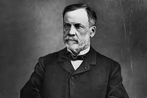 Louis Pasteur Image