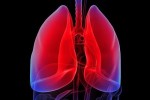 10 Interesting Lung Facts