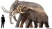 10 Interesting Mammoth Facts