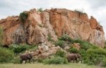 10 Interesting Mapungubwe Facts