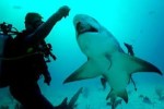 10 Interesting Marine Biologist Facts