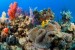 10 Interesting Marine Biome Facts