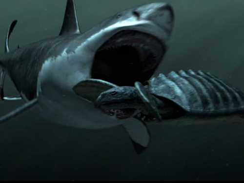 megalodon facts