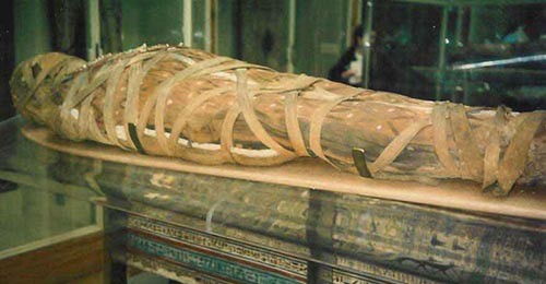 Mummification Facts