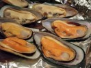 10 Interesting Mussel Facts