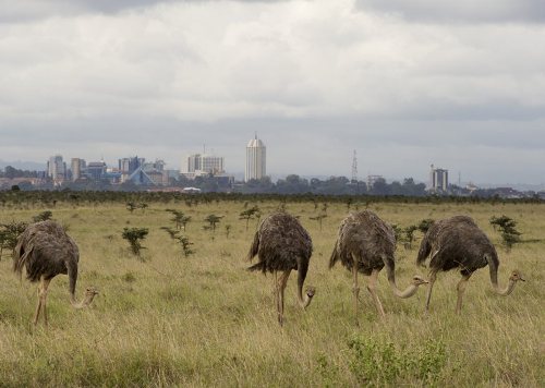 Nairobi Travel