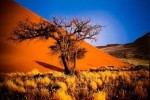 10 Interesting Namibia Facts