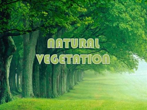 Natural Vegetation Pictures