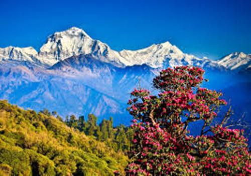 Nepal Beauty