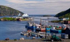 5 INTERESTING FACTS ABOUT NEWFOUNDLAND AND LABRADOR visual data 4