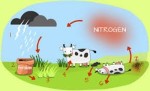 10 Interesting Nitrogen Facts