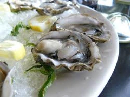 Oyster Food