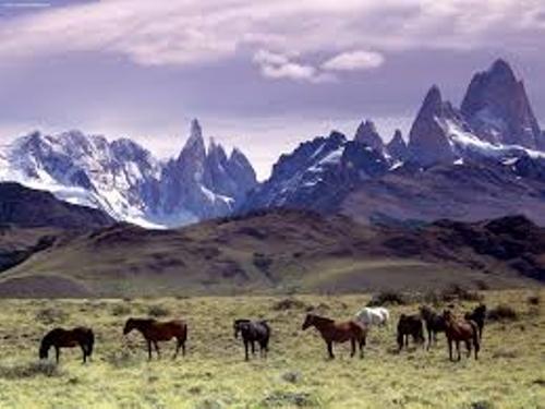 Patagonia Pic