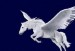 10 Interesting Pegasus Facts