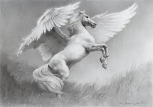 Pegasus White