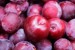 10 Interesting Plum Facts