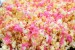 10 Interesting Popcorn Facts