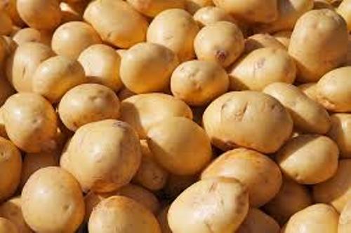 Facts about Potato