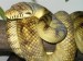 10 Interesting Python Facts