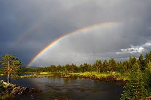 Rainbow Pictures