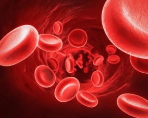 INTERESTING FACTS ABOUT RED BLOOD CELL visual data 4