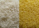 10 Interesting Rice Facts