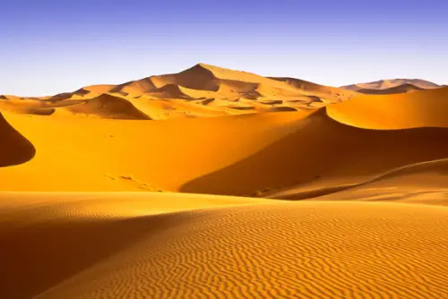Sahara Desert Picture
