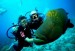 8 Interesting Scuba Diving Facts