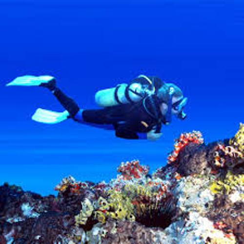 Scuba Diving Picture