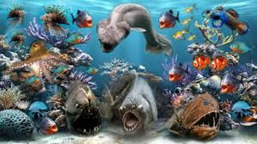 Sea Creatures