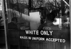 8 Interesting Segregation Facts