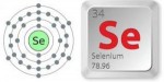 10 Interesting Selenium Facts