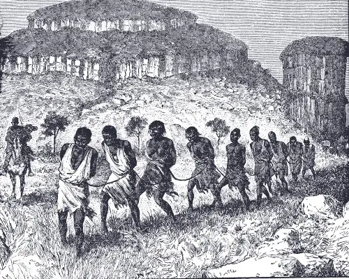 Slave Trade Picture