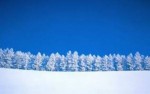 10 Interesting Snow Facts