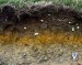 10 Interesting Soil Facts