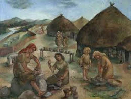 Stone Age Life