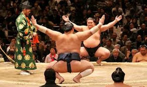 Sumo Wrestling Japan