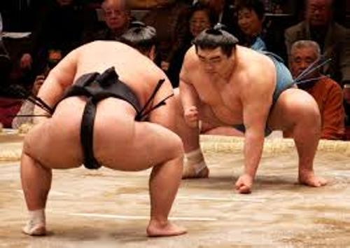 Sumo Wrestling Match