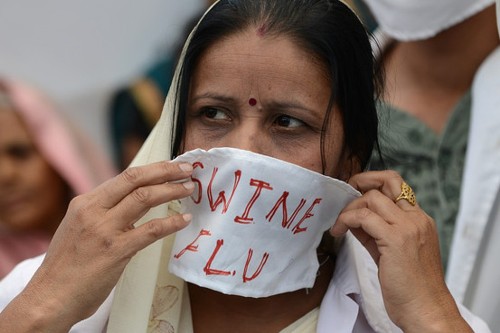 Swine Flu India