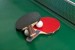10 Interesting Table Tennis Facts