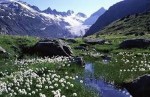 10 Interesting the Alps Facts