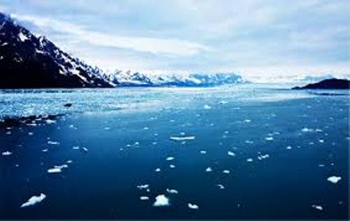 The Arctic Ocean Facts