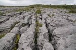 10 Interesting the Burren Facts