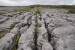 10 Interesting the Burren Facts