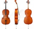 10 Interesting the Cello Facts